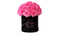 Pink Bouquet in Black Round Box