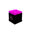 Violet Roses in Black Square Box (LG)