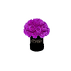Violet- Mini Bouquet of Rose in White Box