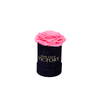Pink - Unique Rose in Black Mini Box