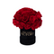 Red - Mini Bouquet of Rose in Black Box