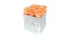 Coral Roses in White Square Box (SM)