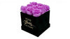 Violet Roses in Black Square Box (SM)